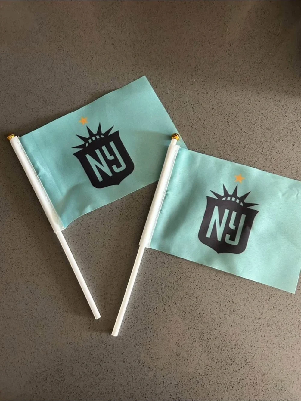 GOTHAM FC NY/NJ Hand Flags - Pack of 2